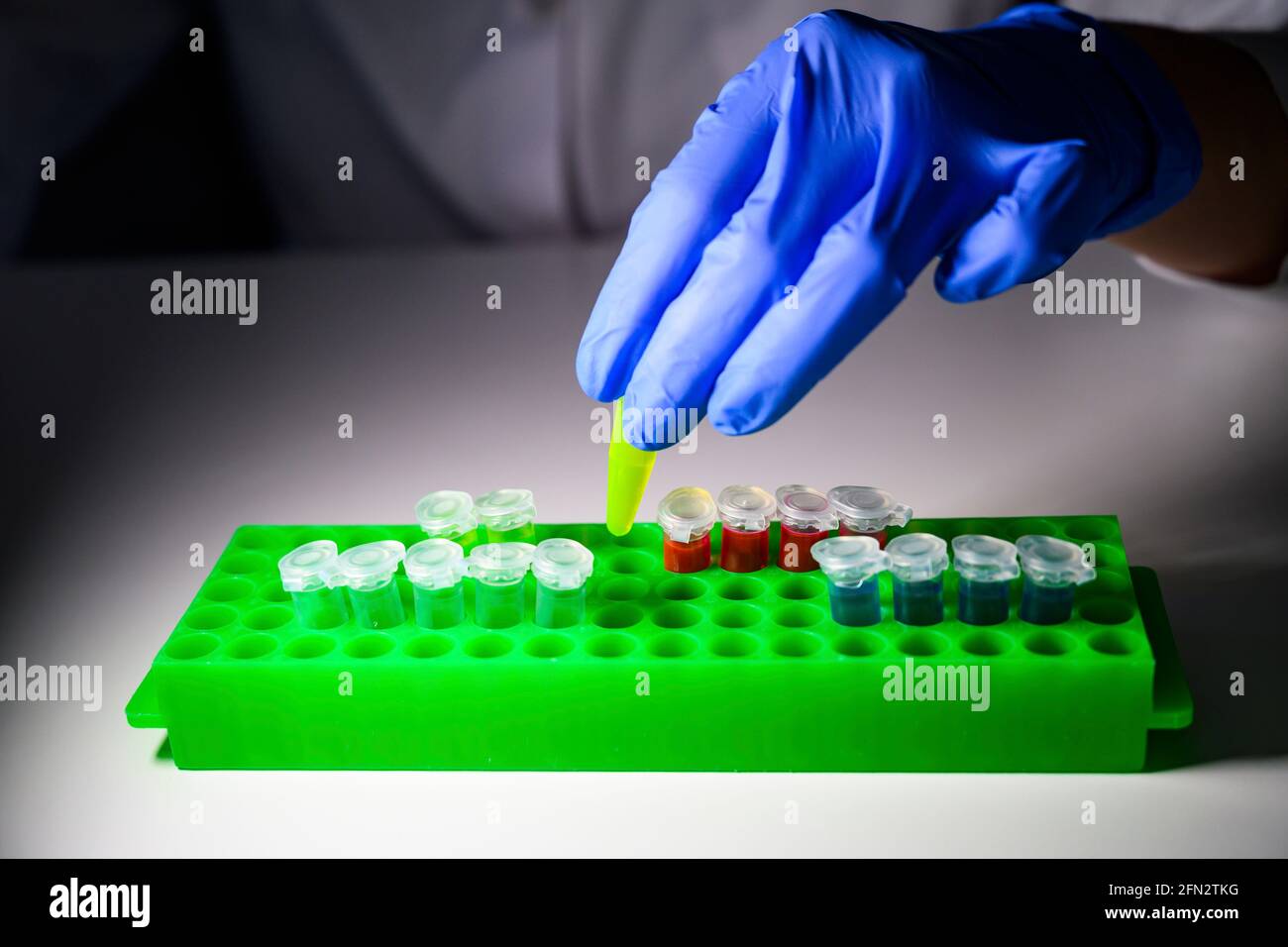 Scientist working with green colour solution in eppendorf tube for biomedical research with tube rack on a white bench background Stock Photo