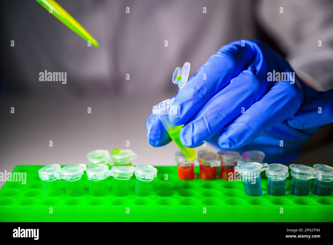 Scientist taking out green chemical solution from eppendorf tube on a white bench background for medicinal chemistry research Stock Photo