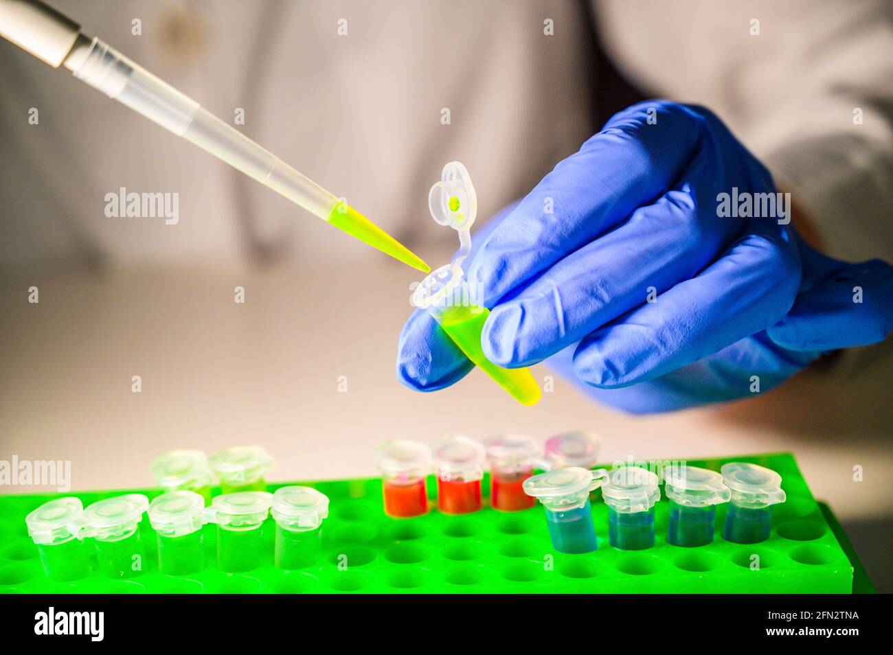 Scientist taking out green chemical solution from eppendorf tube on a white bench background for molecular biology research Stock Photo