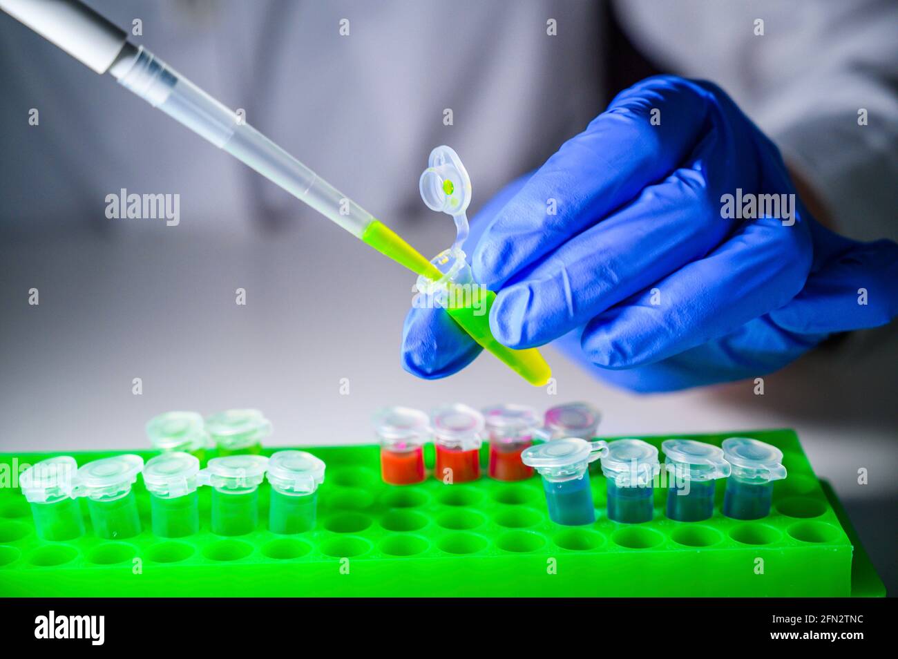 Scientist working with green solution in eppendorf tube and pipette for biomedical research with tube rack on a white bench background Stock Photo