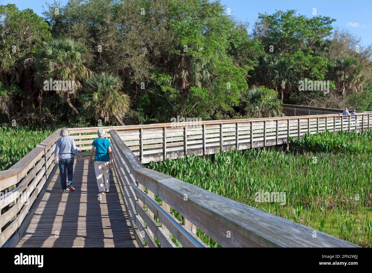 People walking on elevated boardwalk at Green Cay Nature Center and Wetlands, Boynton Beach, Florida. Stock Photo