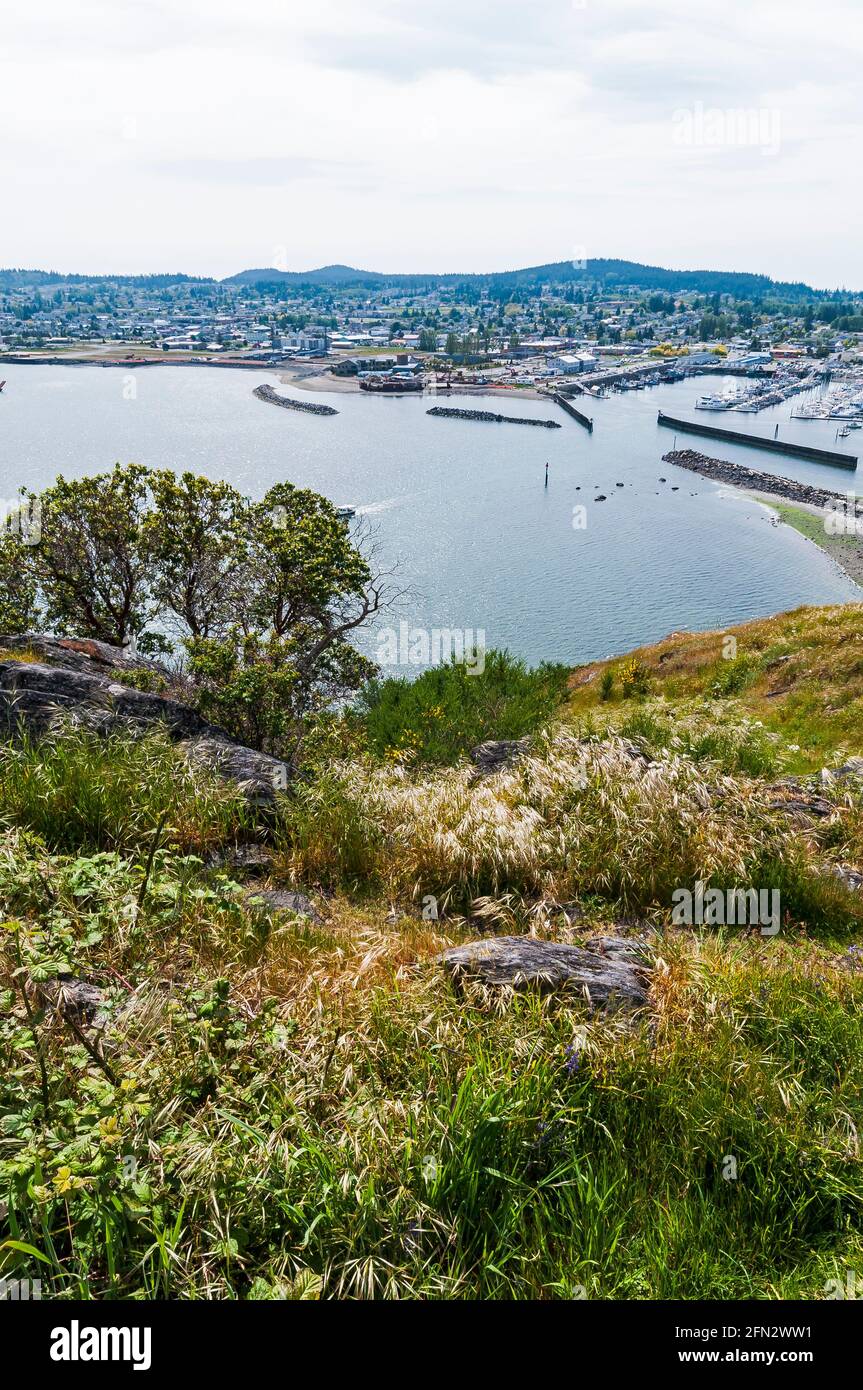 Cap Sante Park High Resolution Stock Photography and Images - Alamy