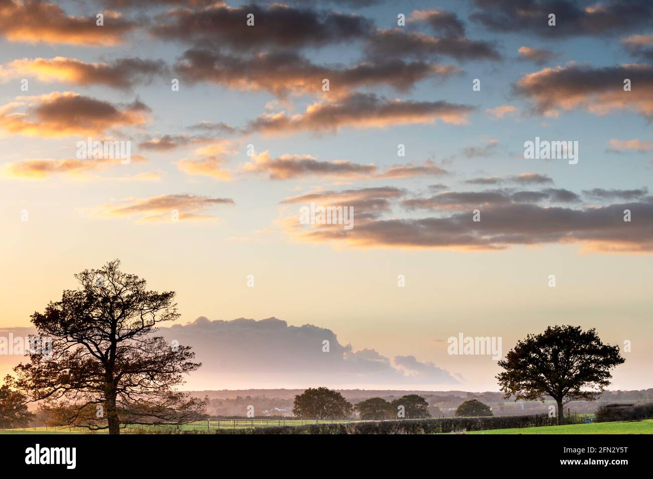 Two silhouetted trees and cool sky scene with warm evening clouds and distant mist Stock Photo