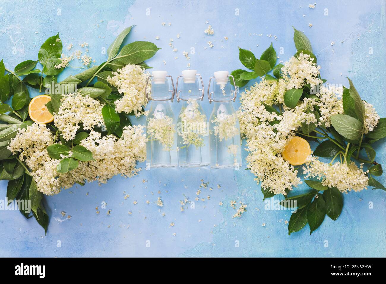 Ingredients to Make Elderflower Liqueur, Elderflower cordial in small bottles on rustic white wooden table. Top view, blank space Stock Photo