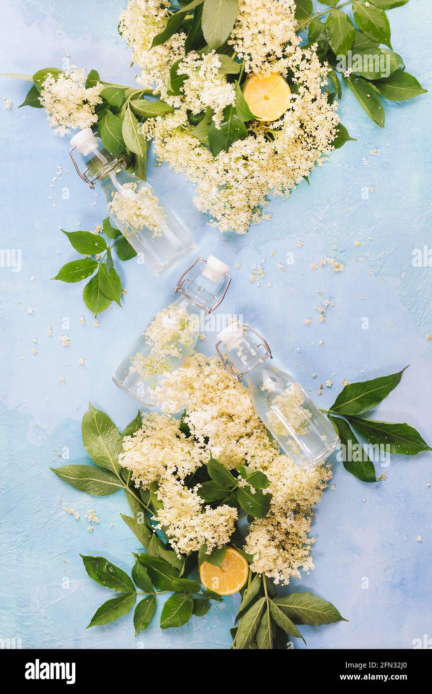 Ingredients to Make Elderflower Liqueur, Elderflower cordial in small bottles on rustic white wooden table. Top view, blank space Stock Photo