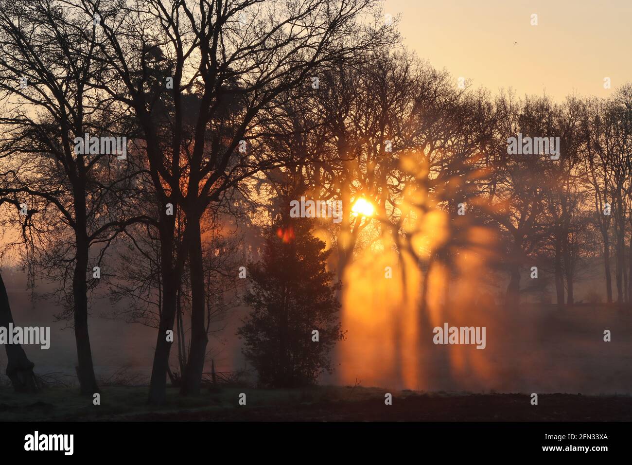 Morgenstimmung und Sonnenaufgang im Emsland bei Meppen/ Germany Stock Photo