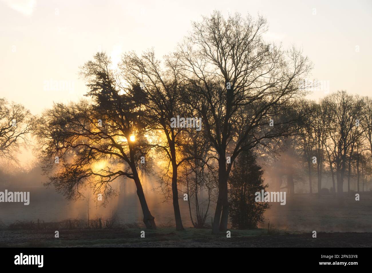 Morgenstimmung und Sonnenaufgang im Emsland bei Meppen/ Germany Stock Photo
