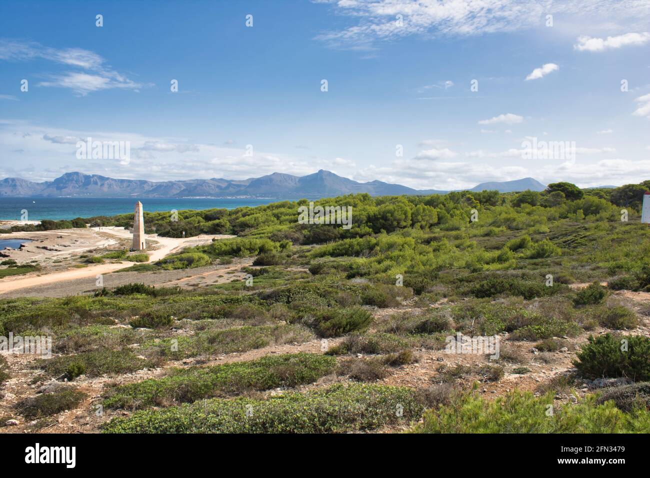 Naturschutzgebiet bei Can Picafort, Mallorca; Bucht von Alcudia Stock Photo