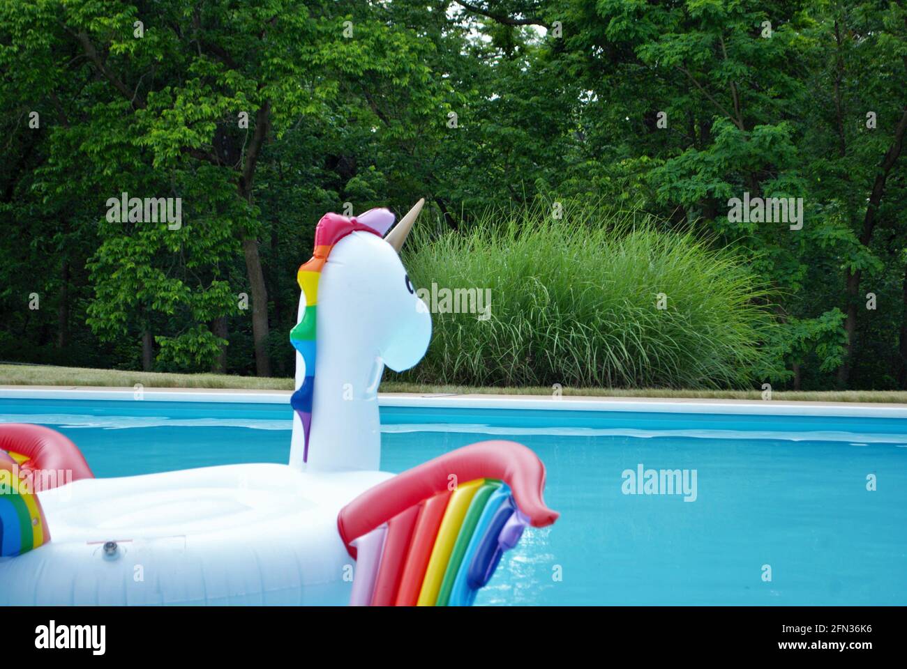 unicorn inflatable floating in a backyard swimming pool Stock Photo