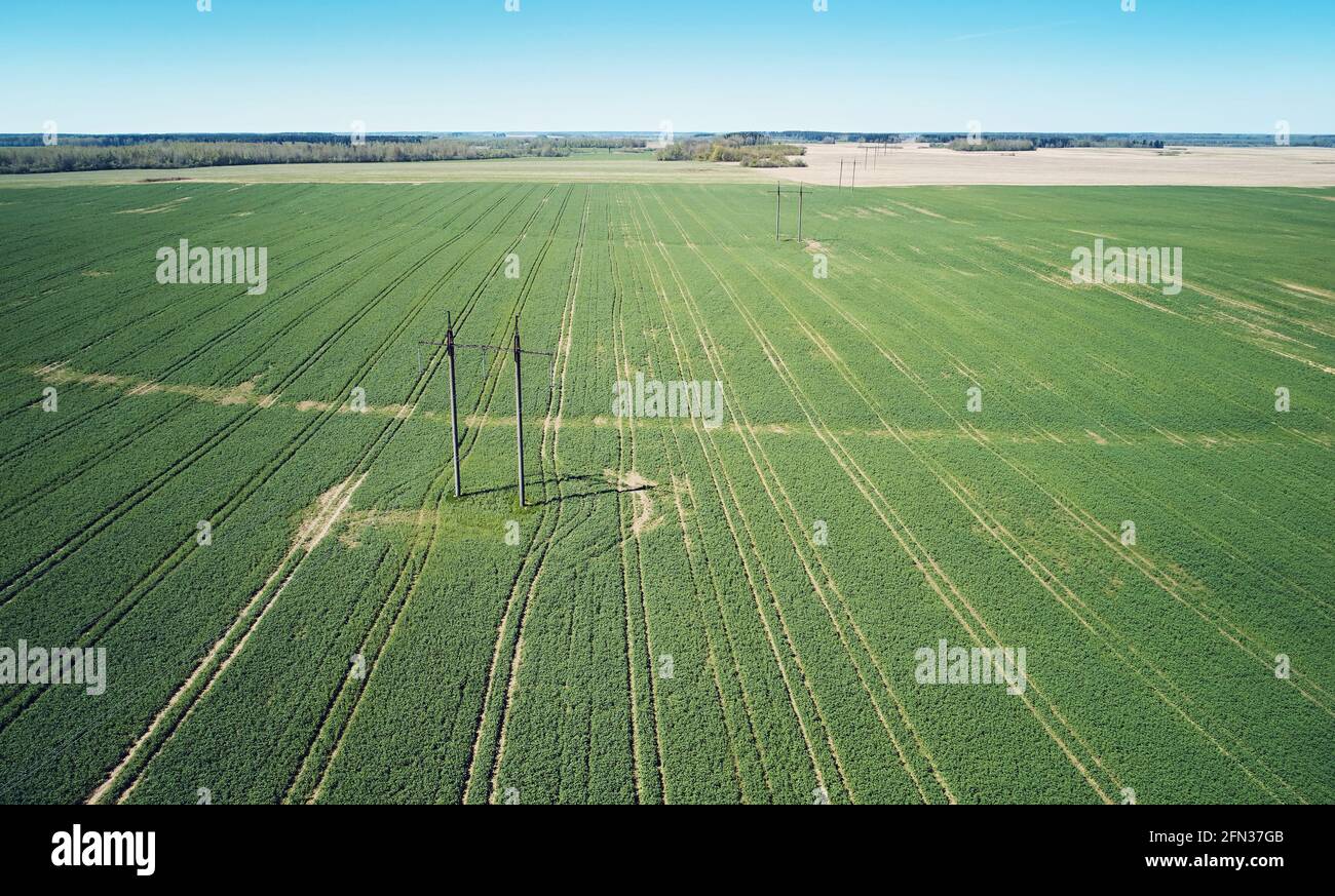 Electric power line in agriculture field aerial drone view Stock Photo