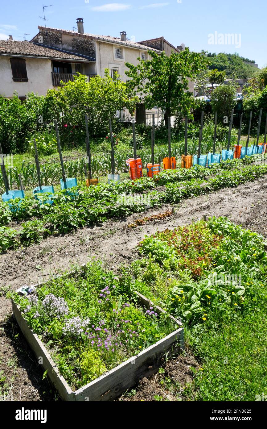 Garden in spring, Livron, Drôme, France Stock Photo Alamy