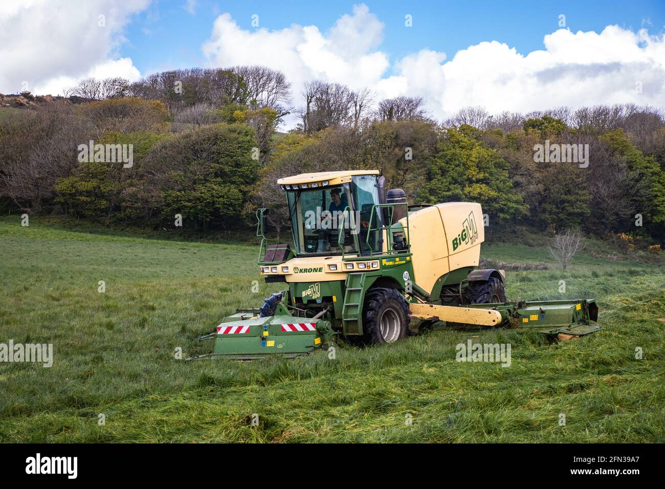 Biggest M&m Bag Clipart