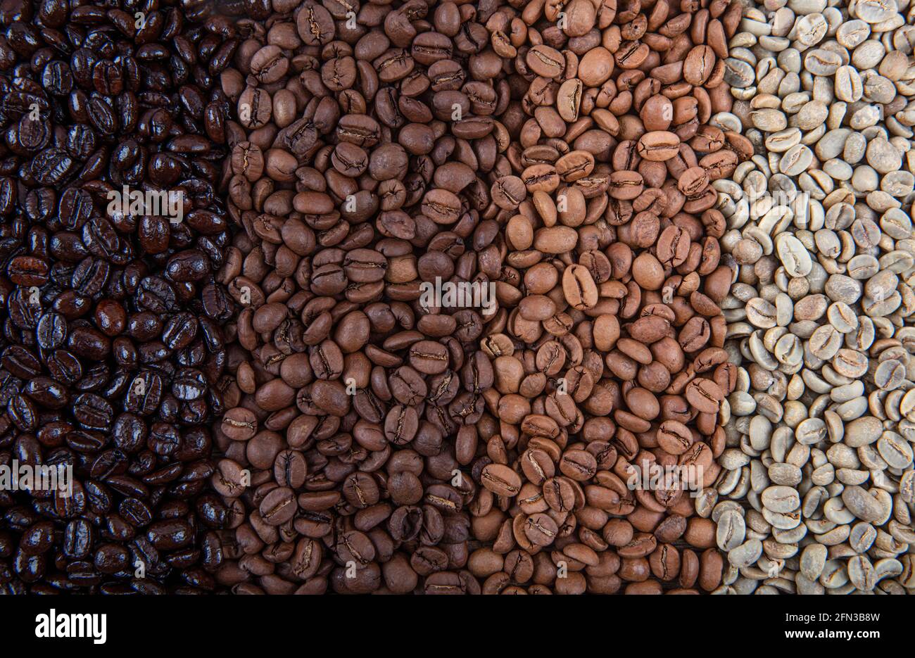 Coffee Beans Are Double Roasted Coffee Papers Showing Various Roasting 