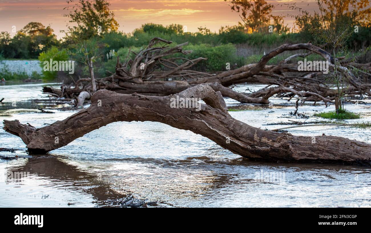 Photos that show us the different environment of landscapes, fallen trees, ashes, agriculture, clouds with the sunset. Stock Photo