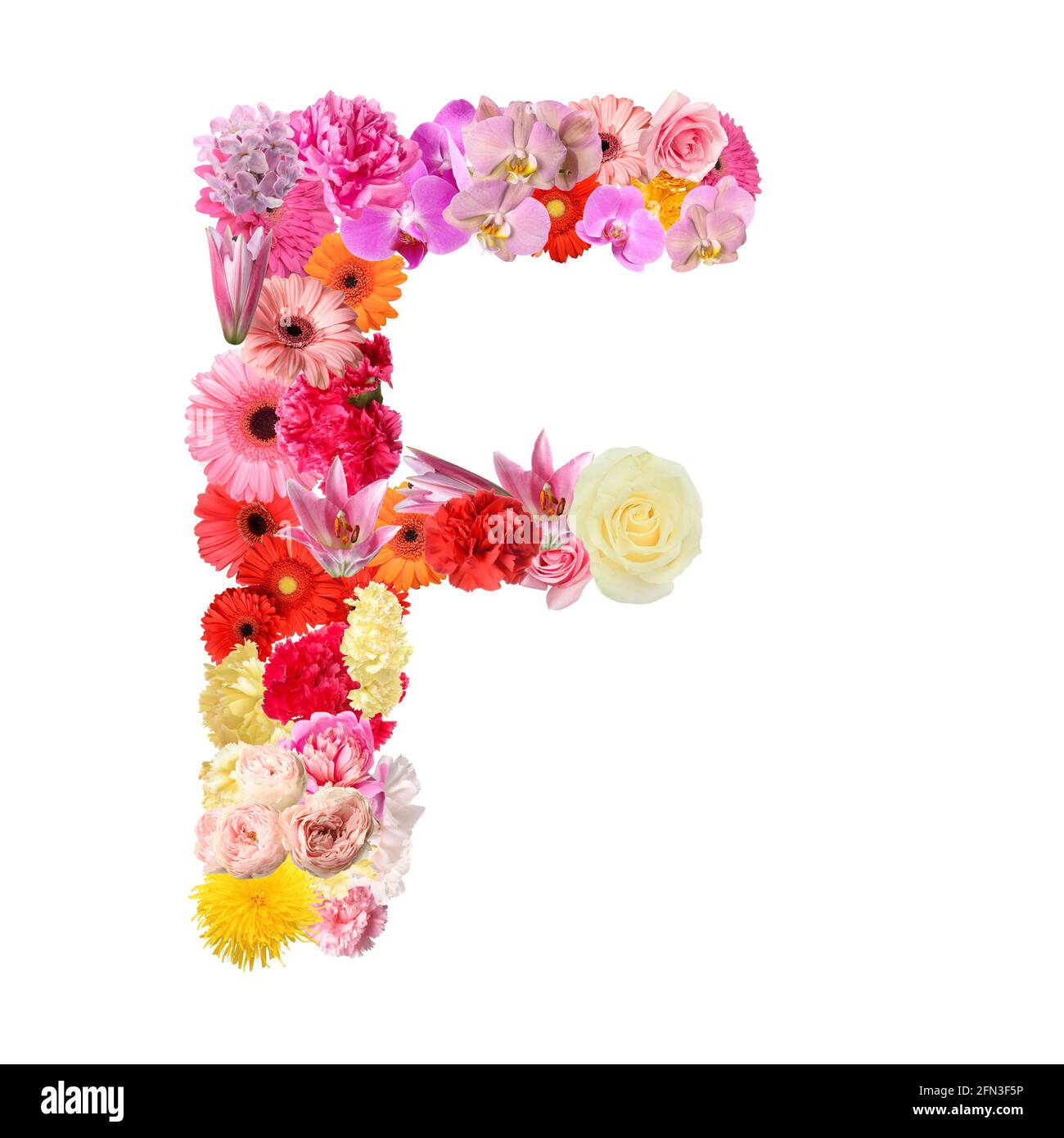 Letter F made of beautiful flowers on white background Stock Photo ...