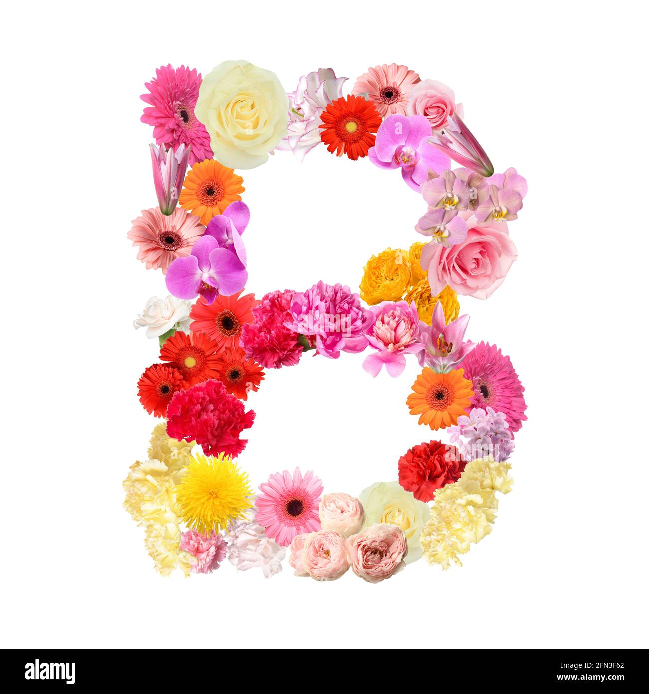Letter B made of beautiful flowers on white background Stock Photo ...