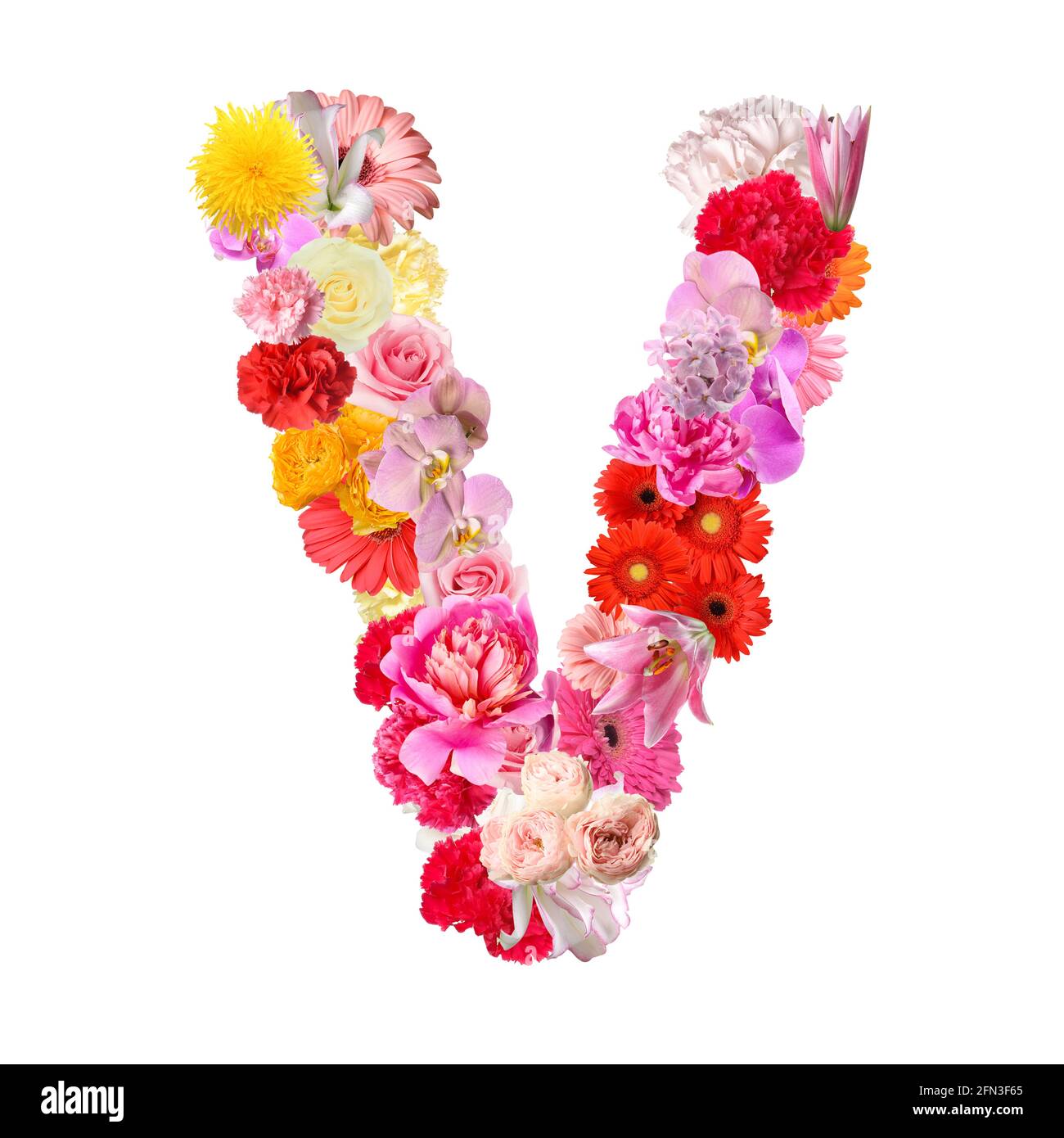 Letter V made of beautiful flowers on white background Stock Photo - Alamy Letter V made of beautiful flowers on white background Stock Photo - Alamy