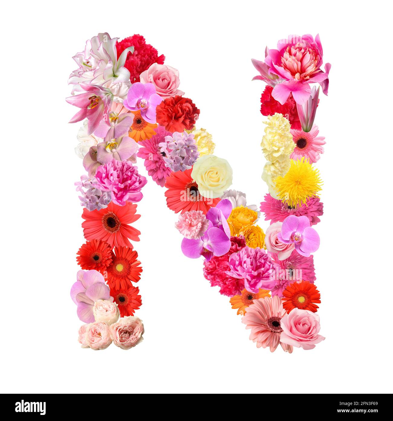 Letter N made of beautiful flowers on white background Stock Photo ...