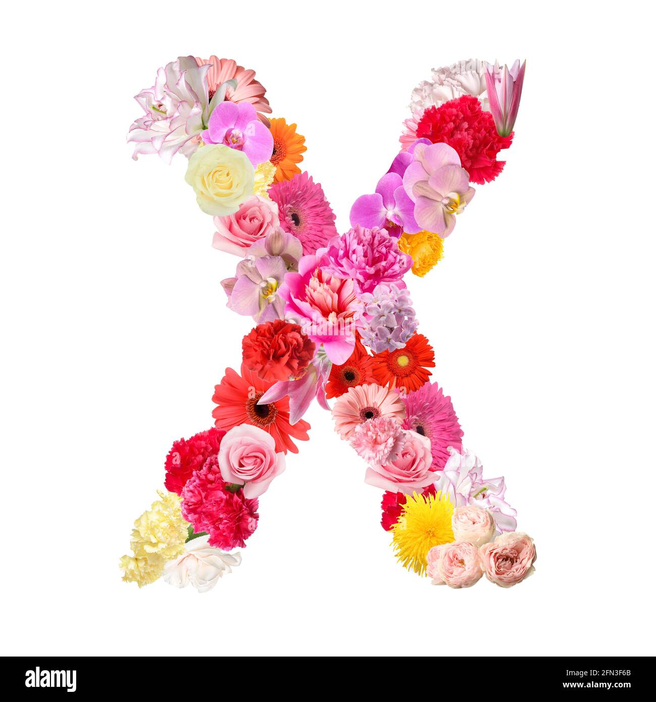 Letter X made of beautiful flowers on white background Stock Photo - Alamy Letter X made of beautiful flowers on white background Stock Photo - Alamy
