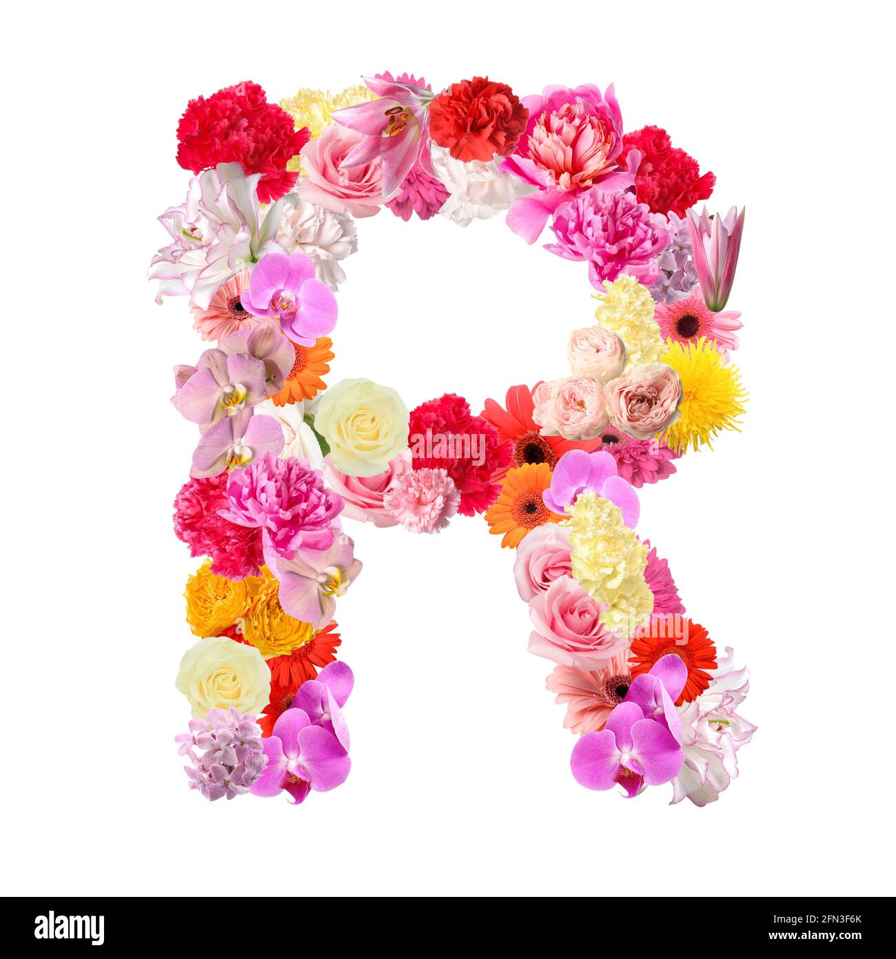 Letter R made of beautiful flowers on white background Stock Photo Alamy