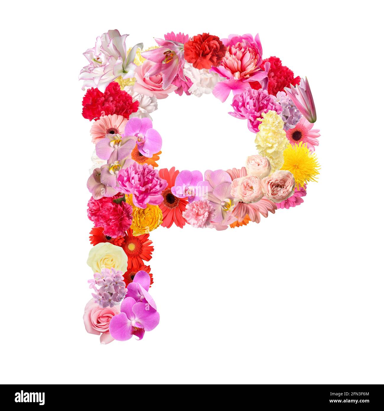 Letter P made of beautiful flowers on white background Stock Photo ...