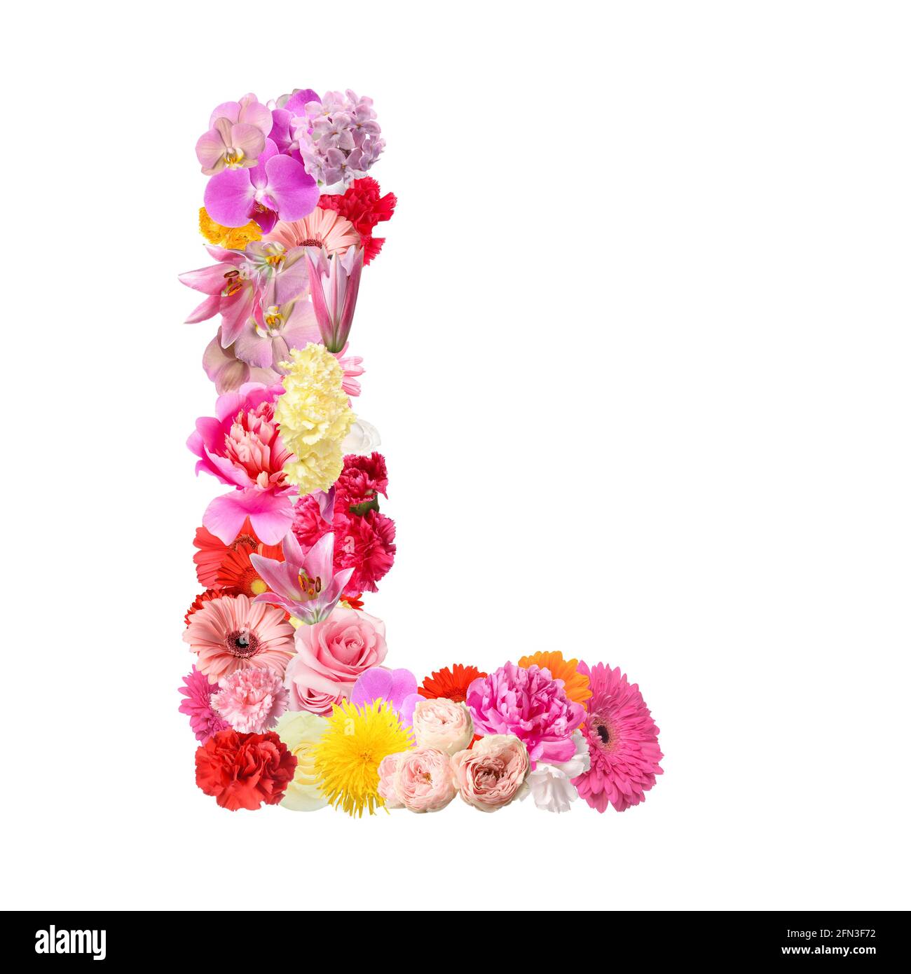 Letter L made of beautiful flowers on white background Stock Photo ...