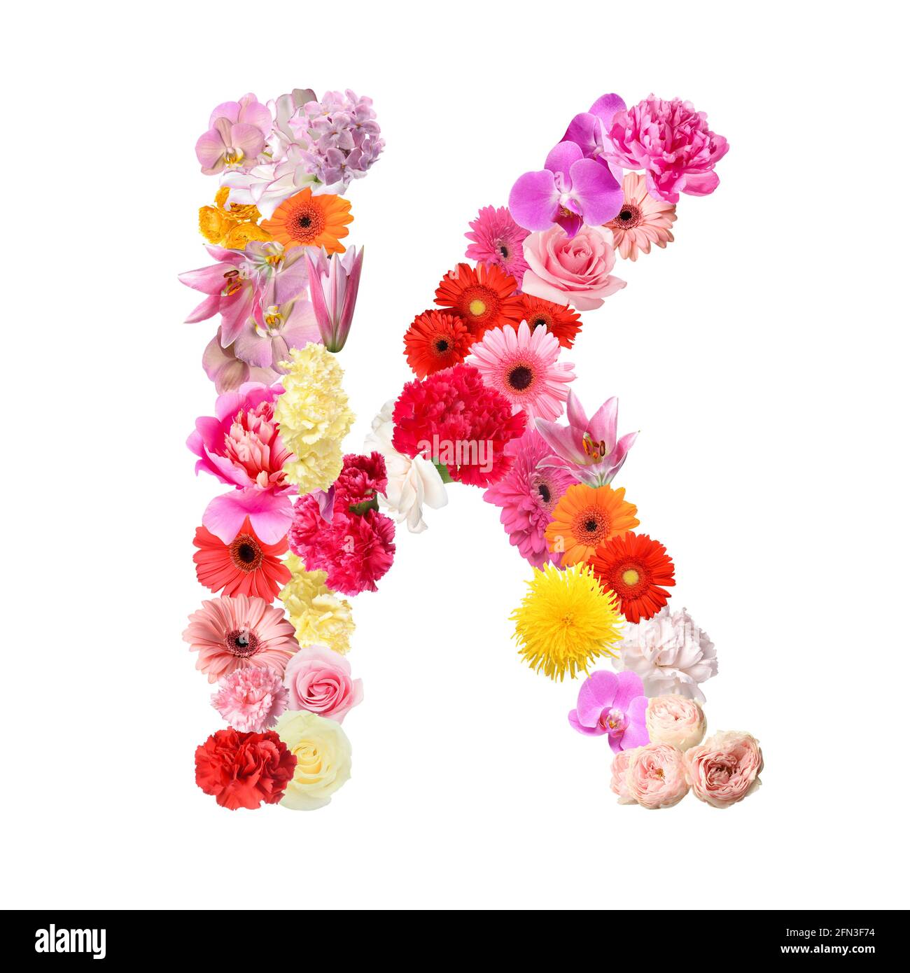 Letter K made of beautiful flowers on white background Stock Photo ...