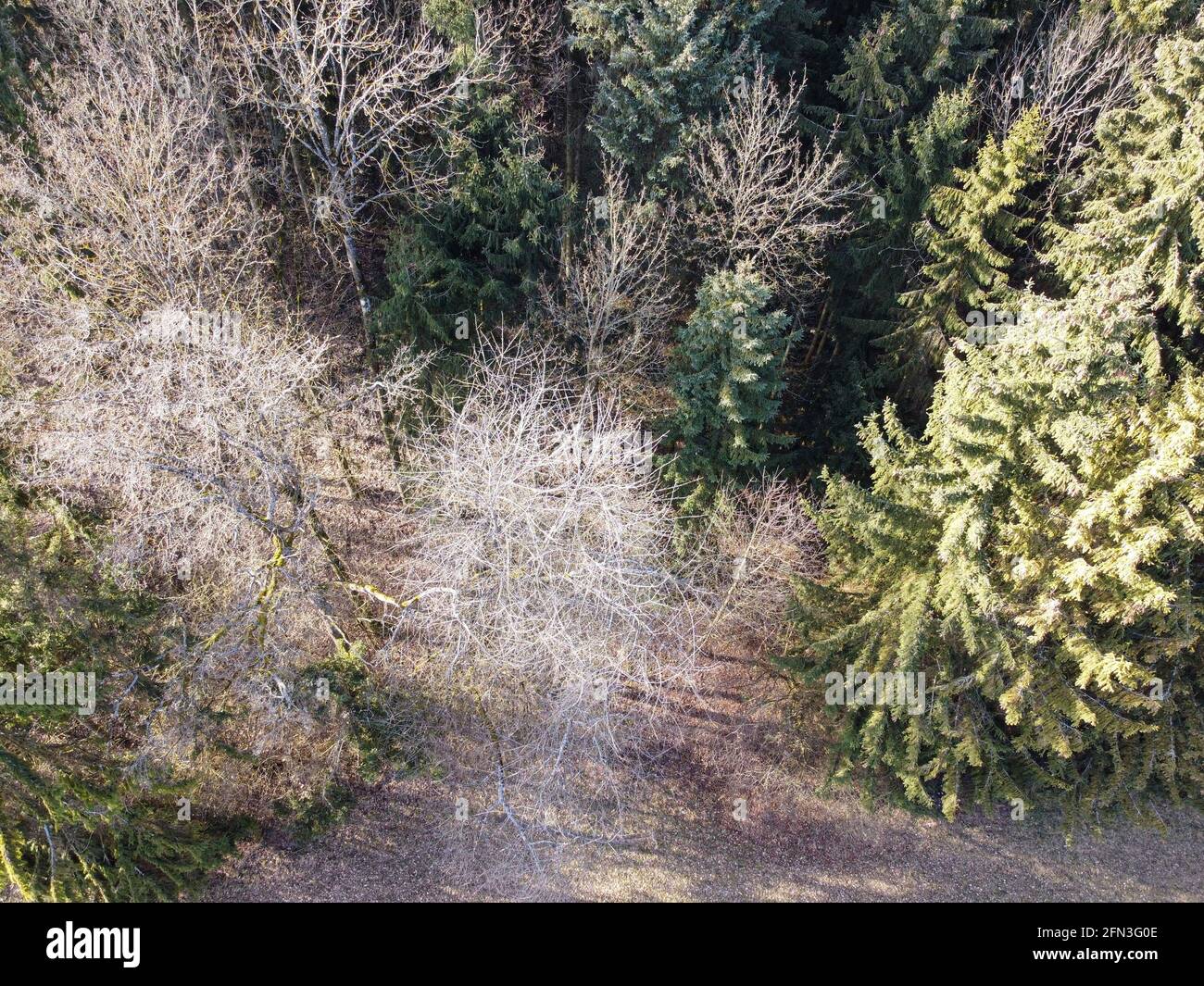 Close up view ecology hi-res stock photography and images - Alamy