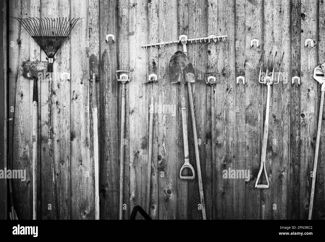 Black and white photo of farm tools hung on the wooden wall of a barn. Stock Photo