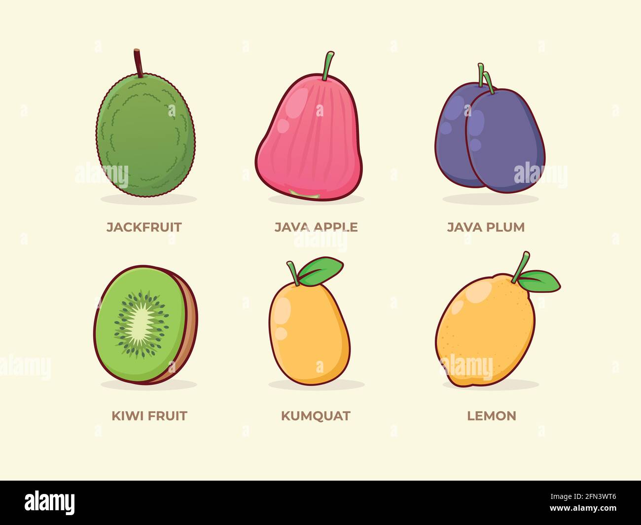 Fruit Set Illustration of various fruits. Jackfruit, Java Apple, Java