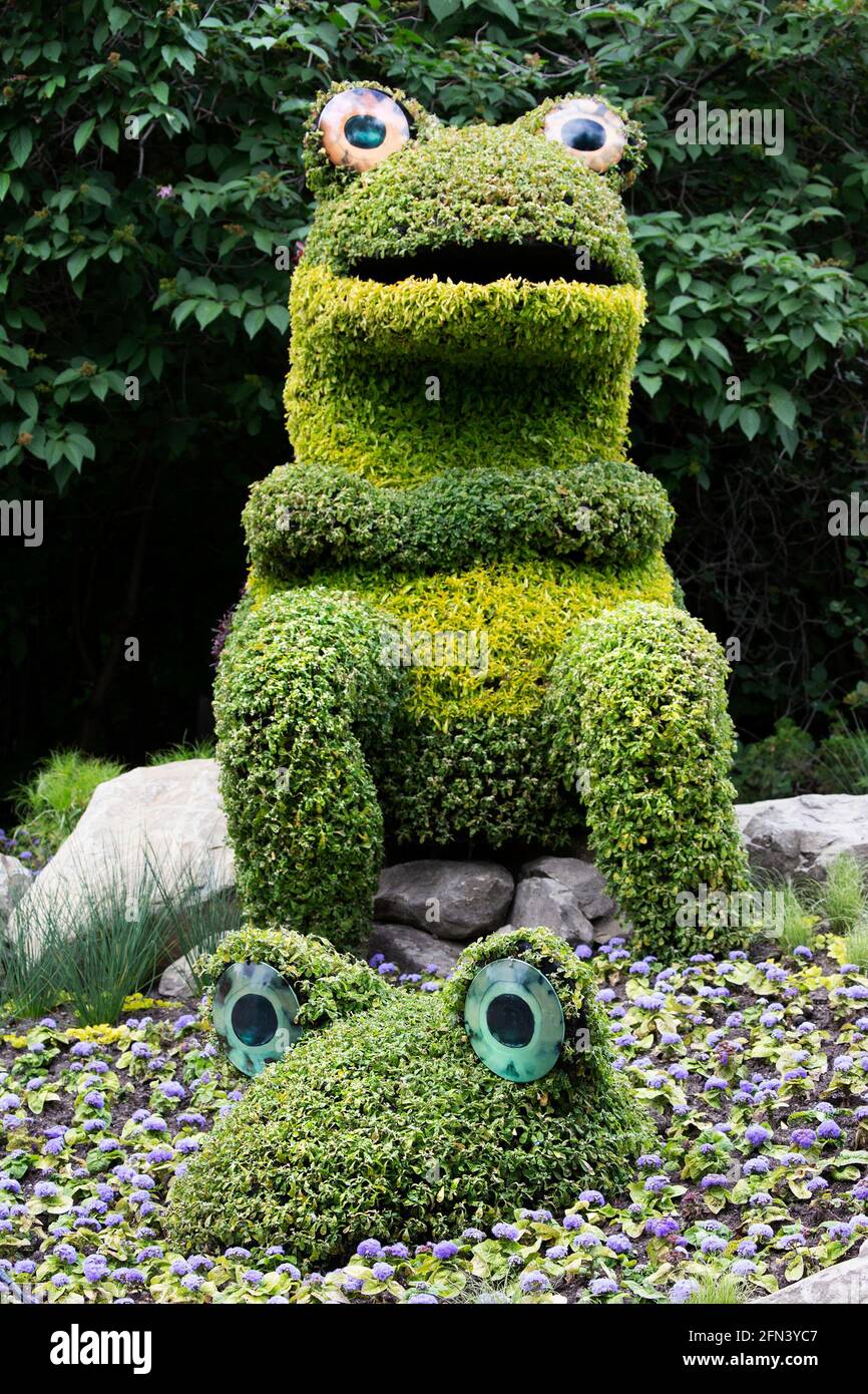 Frog shaped topiary sculptures in botanical garden. Stock Photo