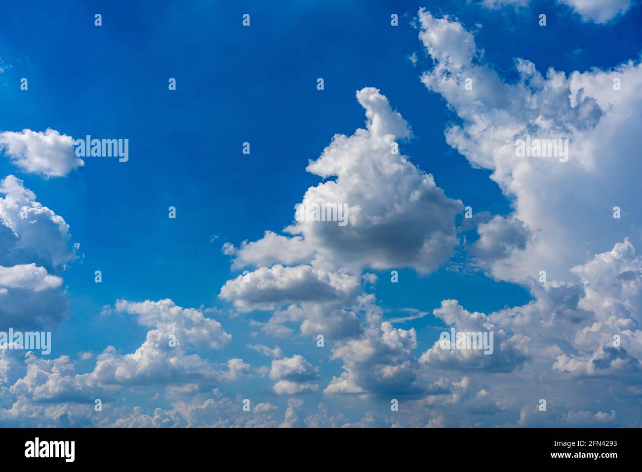 White clouds cumulus floating on blue sky for backgrounds concept Stock ...