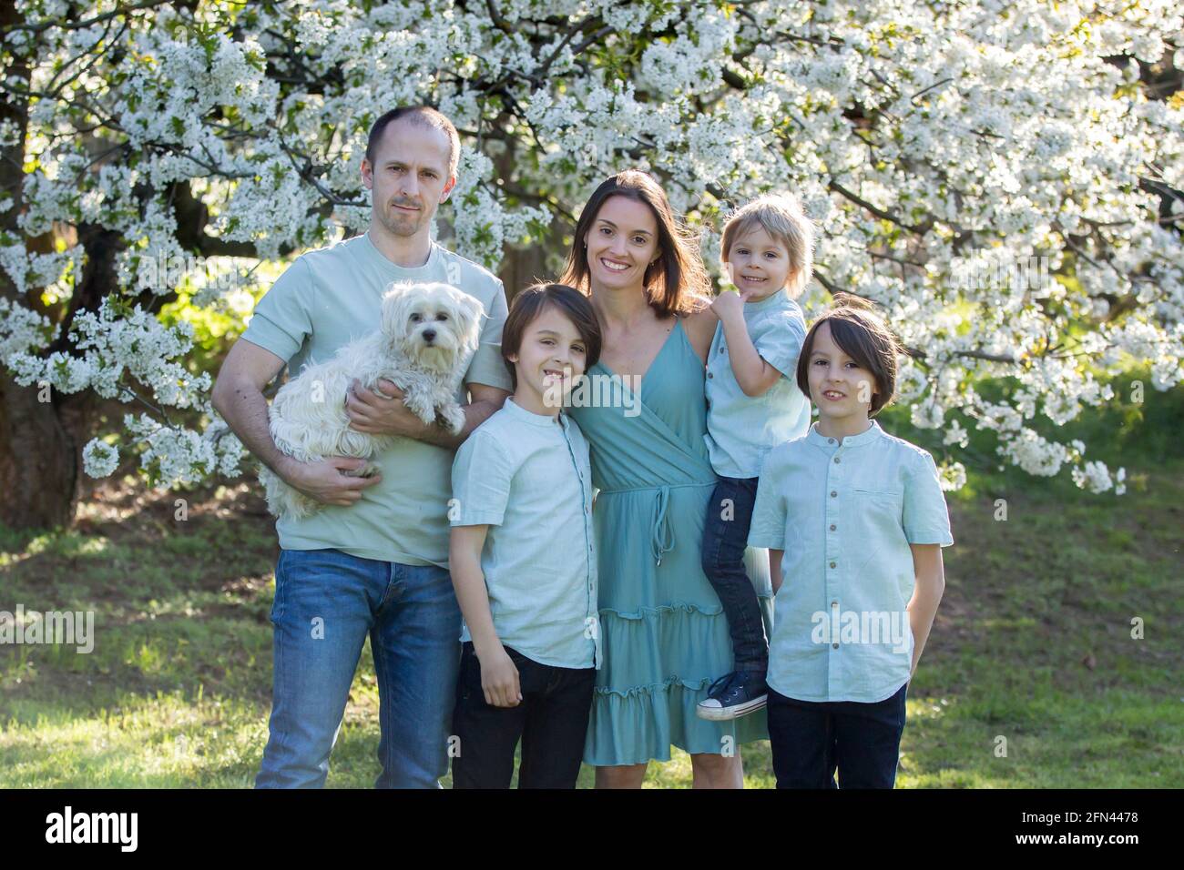 Beautiful family with kids, mom, dad, three boys and a dog, playing in ...