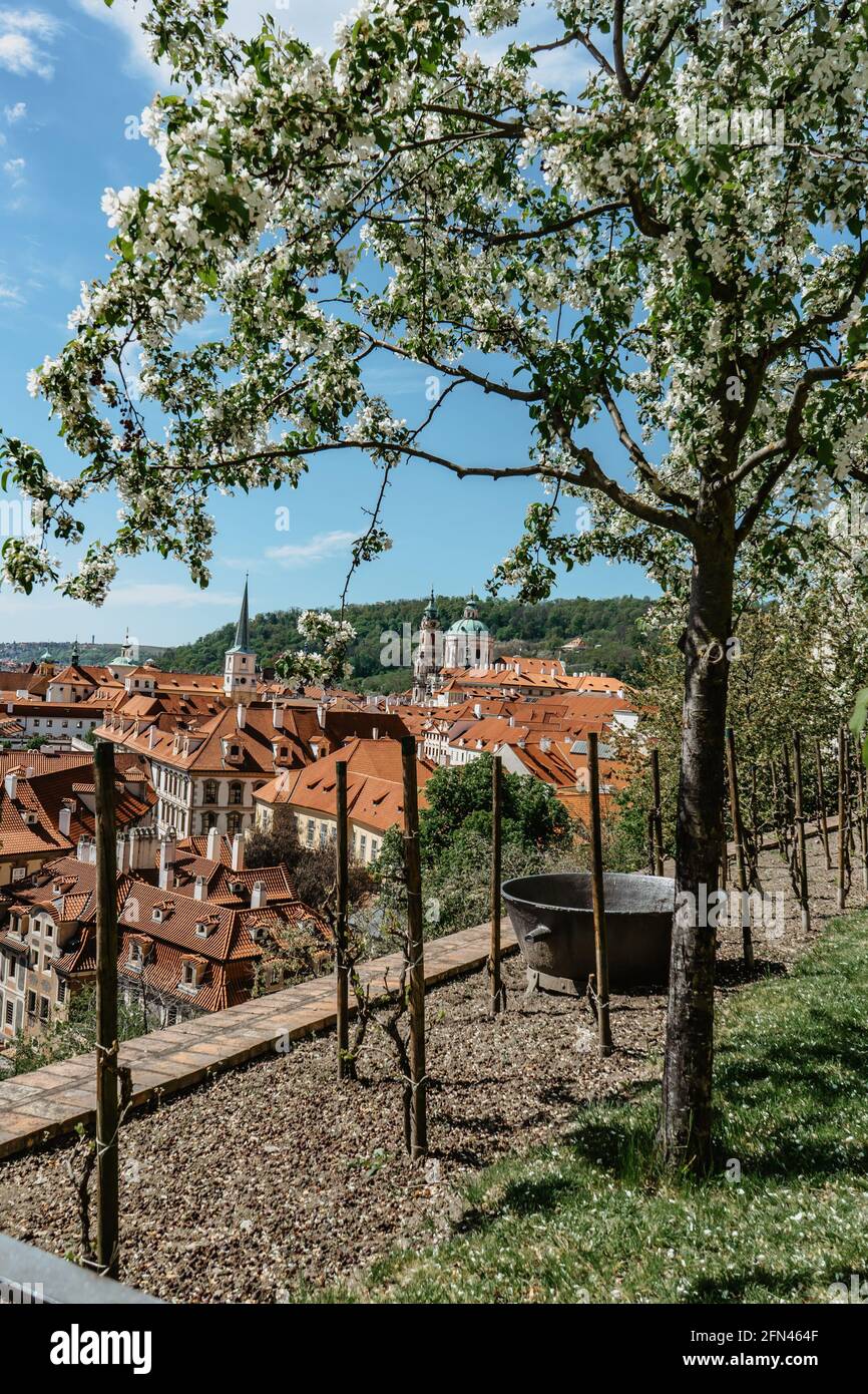 Prague panorama,Czech Republic.Spring view of Church of Saint Nicholas,Lesser town with historical buildings and red roofs.Amazing European cityscape. Stock Photo