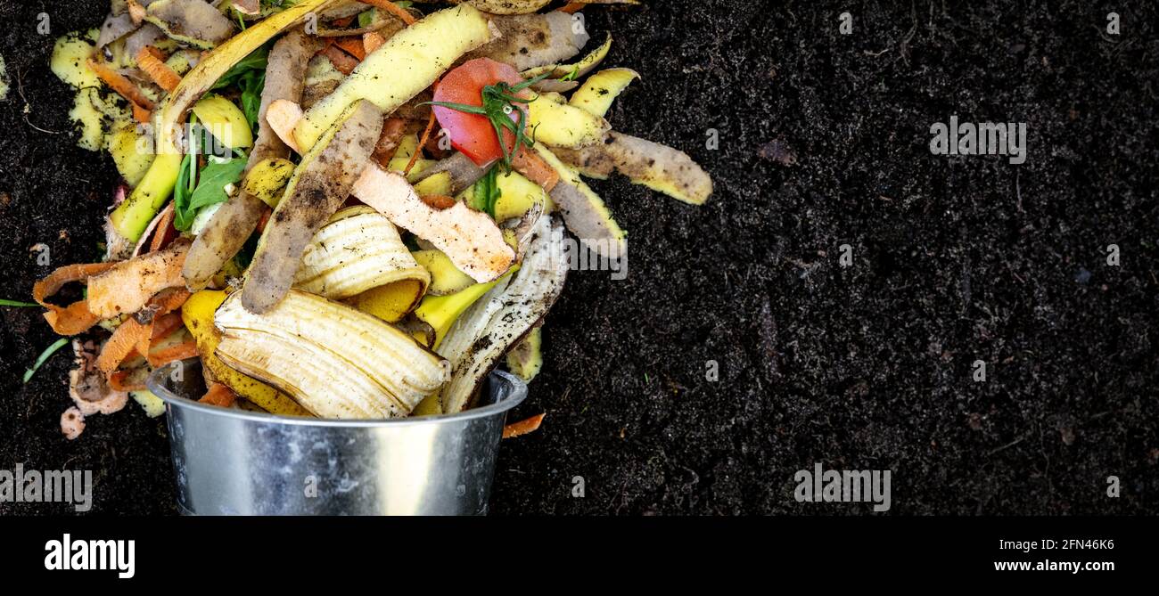 organic garden fertilizer. biodegradable kitchen waste. composting food leftovers. banner Stock Photo