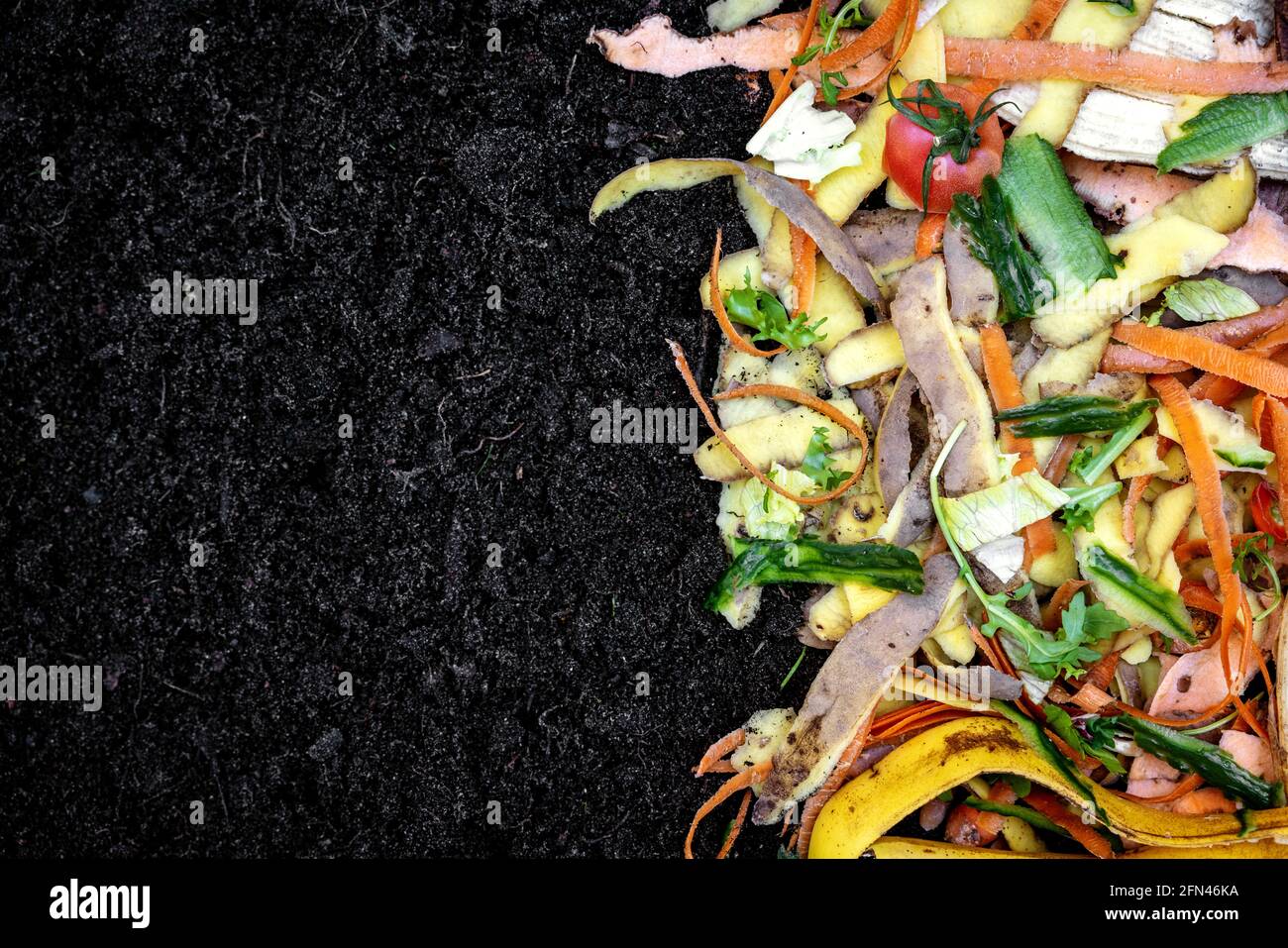 biodegradable kitchen waste on soil. composting organic food leftovers. copy space Stock Photo