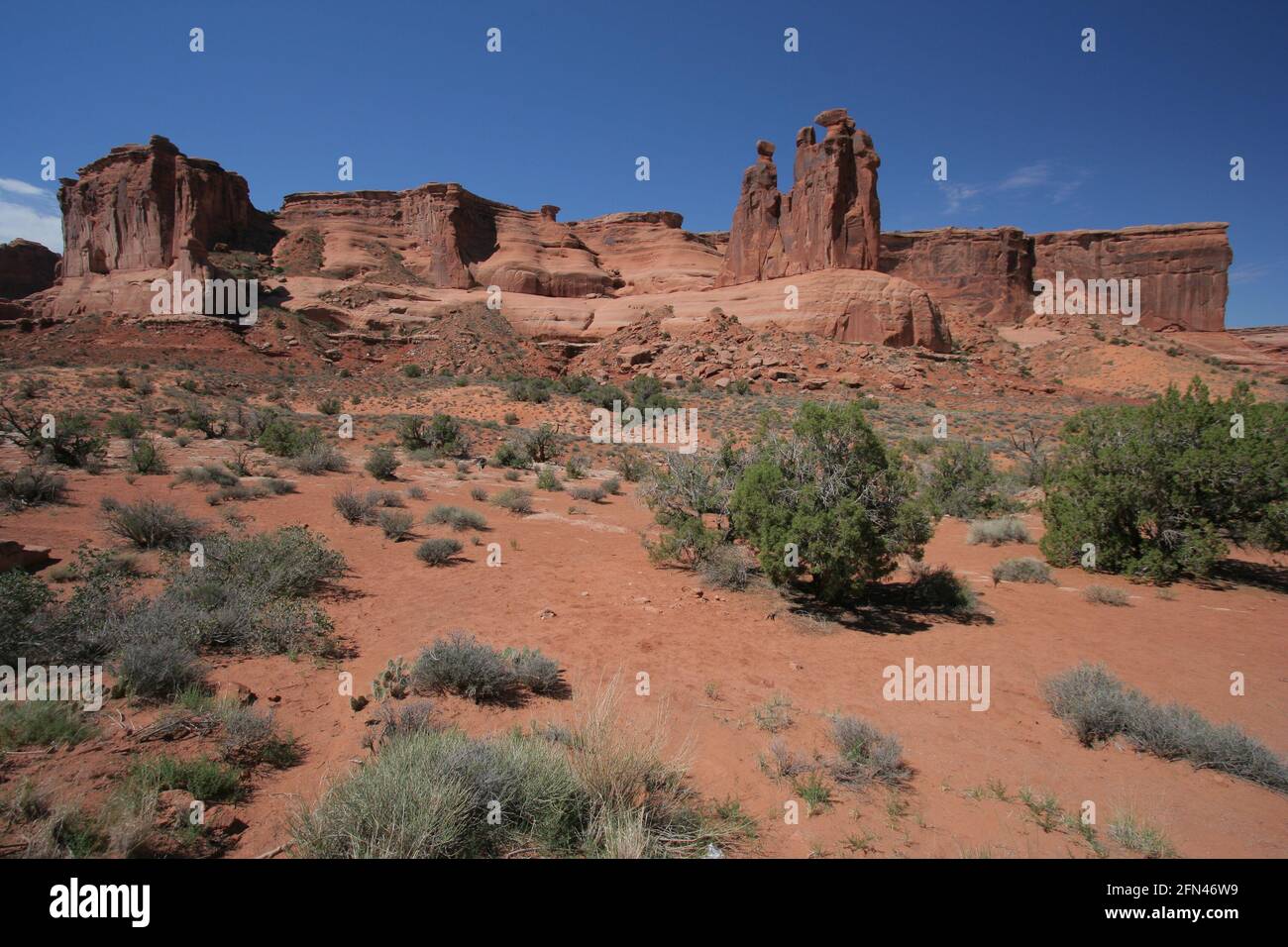 Three Gossips on Park Avenue Trail in Arches National Park in Utah in the USA Stock Photo