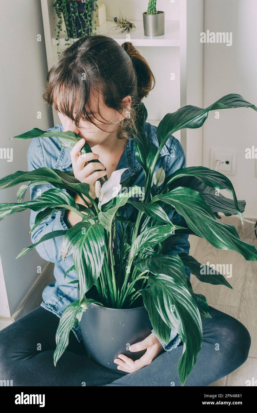 portrait of a woman with brown hair sits on the floor of her house and hugs a plant from a pot Stock Photo
