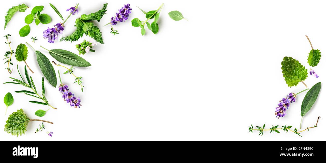 Rosemary, mint, lavender, marjoram, sage, lemon balm and thyme