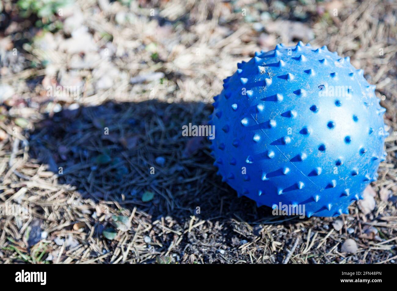 small blue ball with spikes lying on the ground Stock Photo Alamy