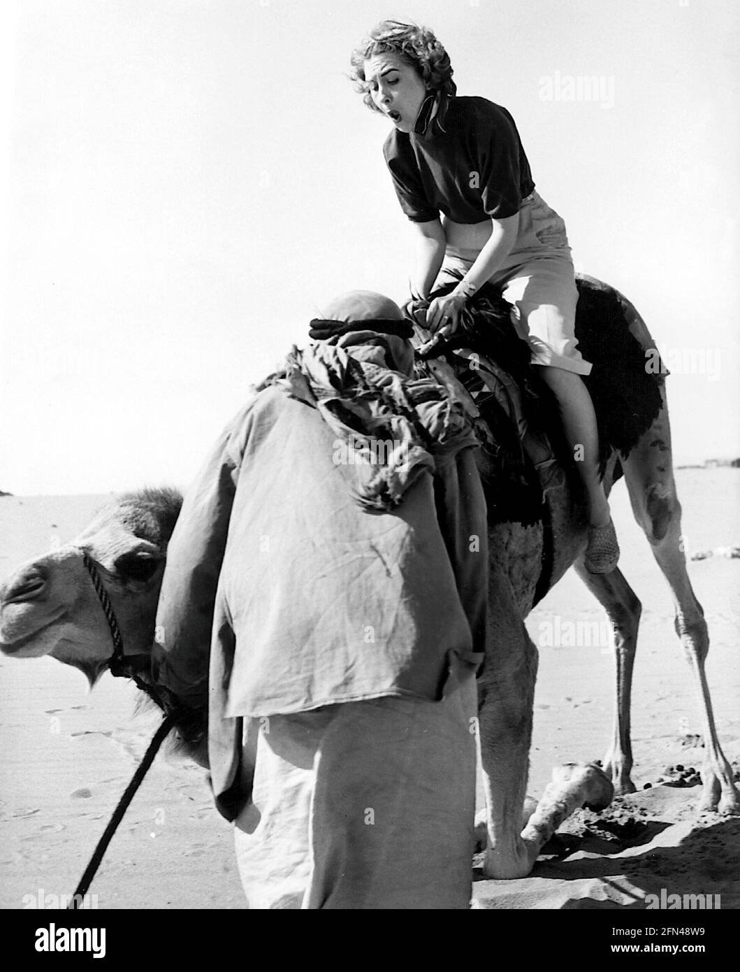 Camel riding tourism 20th century hi-res stock photography and images