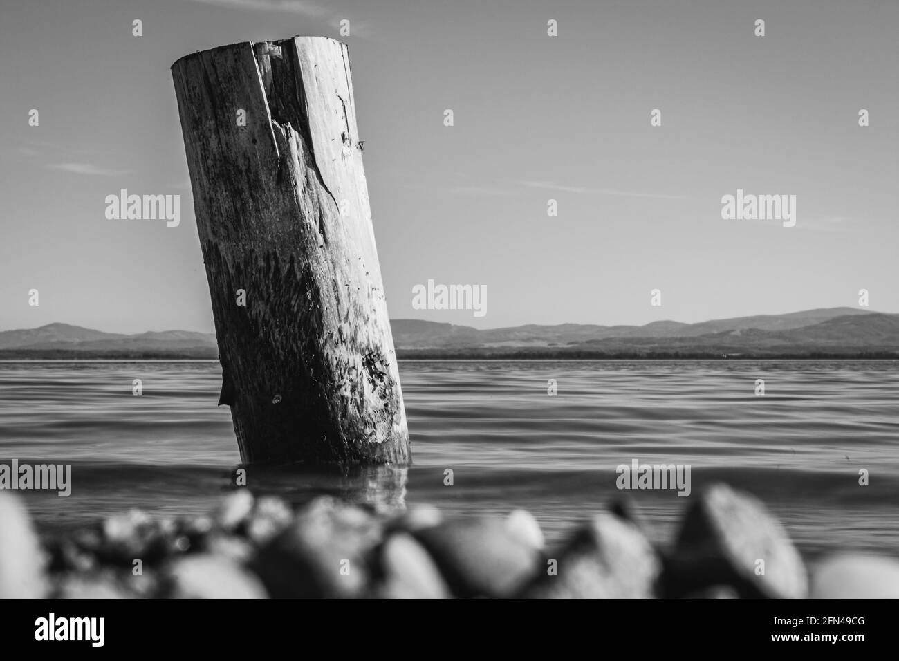 wooden pile washed by the waters of the lake with the mountains in the background in monochrome Stock Photo