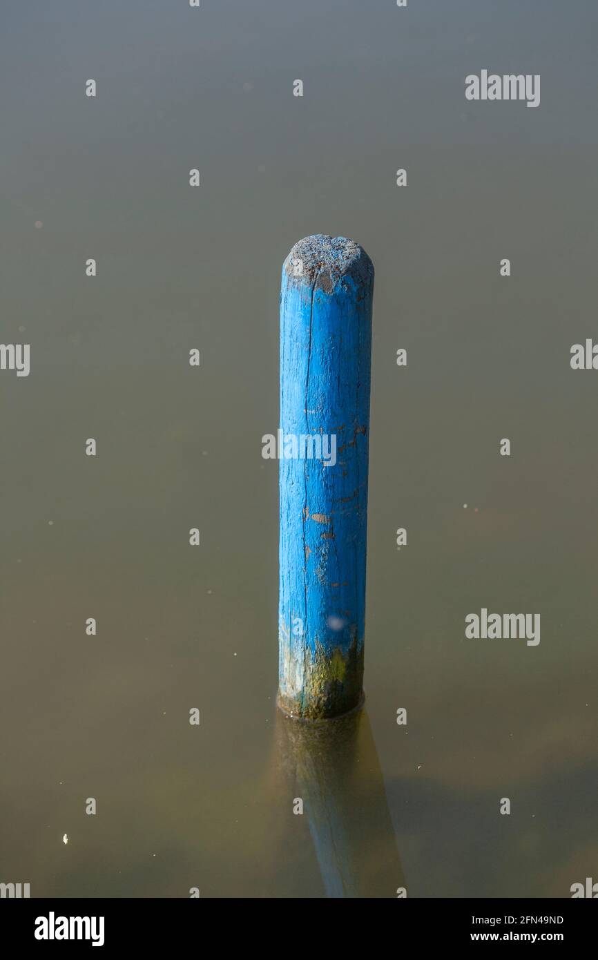 Blauer Holzpflock in einem Gewässer, Deutschland, Europa Stock Photo