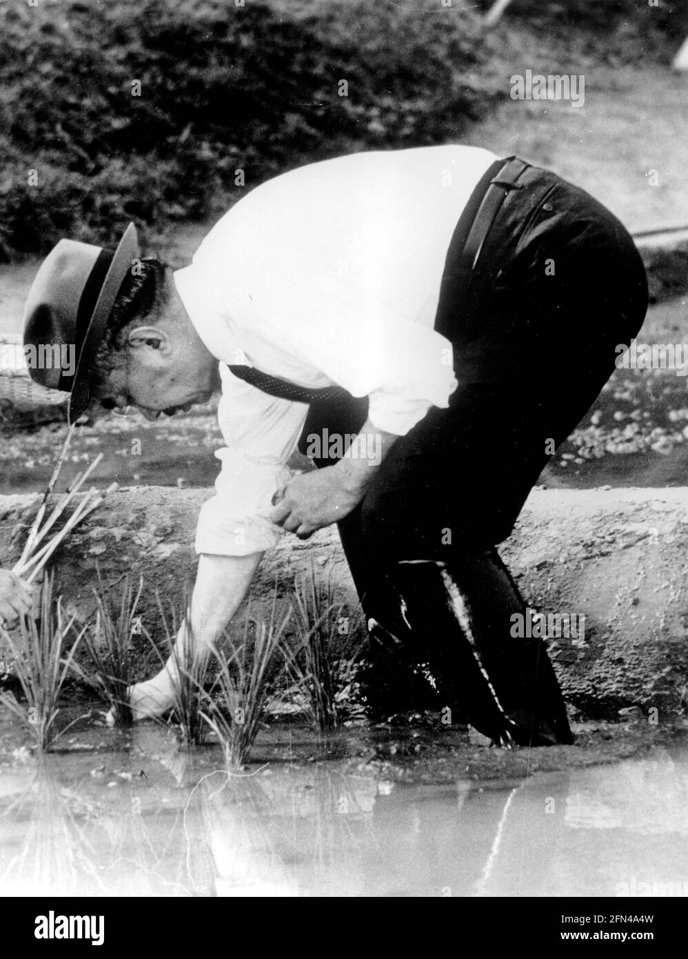 Hirohito, 29.4.1909 - 7.1.1989, Emperor of Japan, planting rice on area of Imperial Palace, Tokyo, ADDITIONAL-RIGHTS-CLEARANCE-INFO-NOT-AVAILABLE Stock Photo