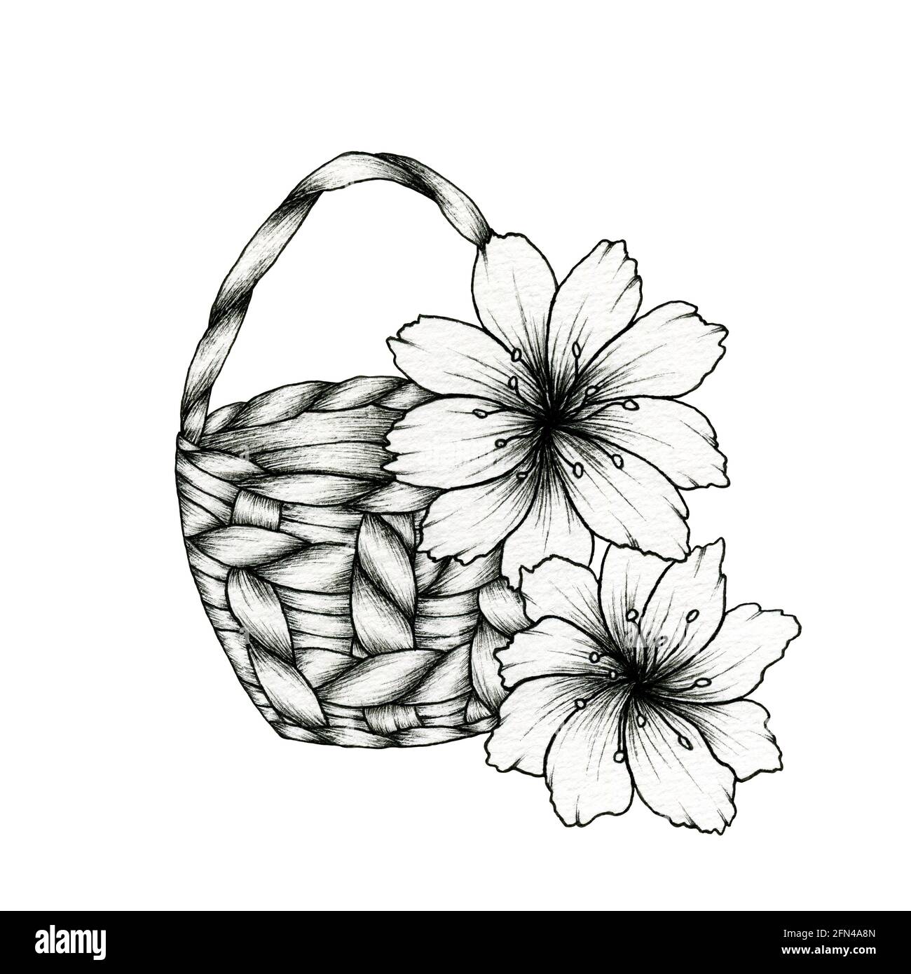 Black drawing of a basket with flowers isolated on white, vintage hand  drawn floral illustration, rustic floral decoration with basket Stock Photo  - Alamy