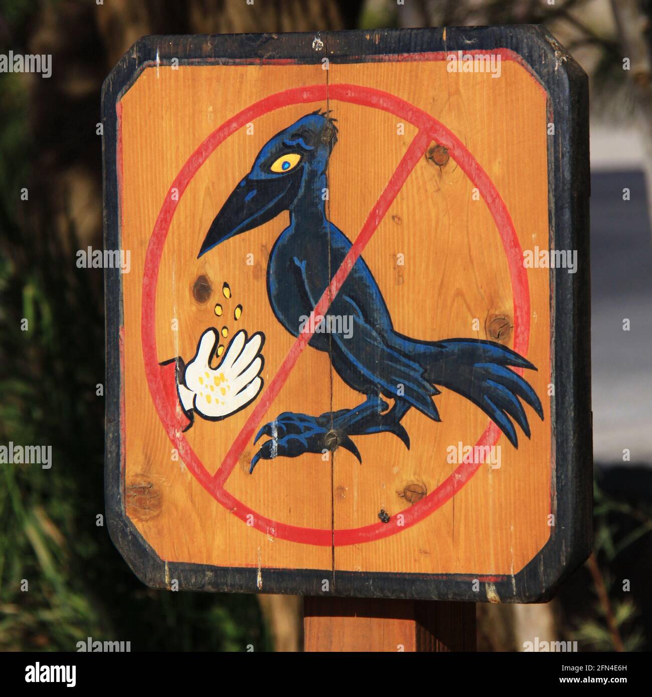 Don't feed birds sign at Furnace Creek Ranch in Death Valley in California in the USA Stock Photo
