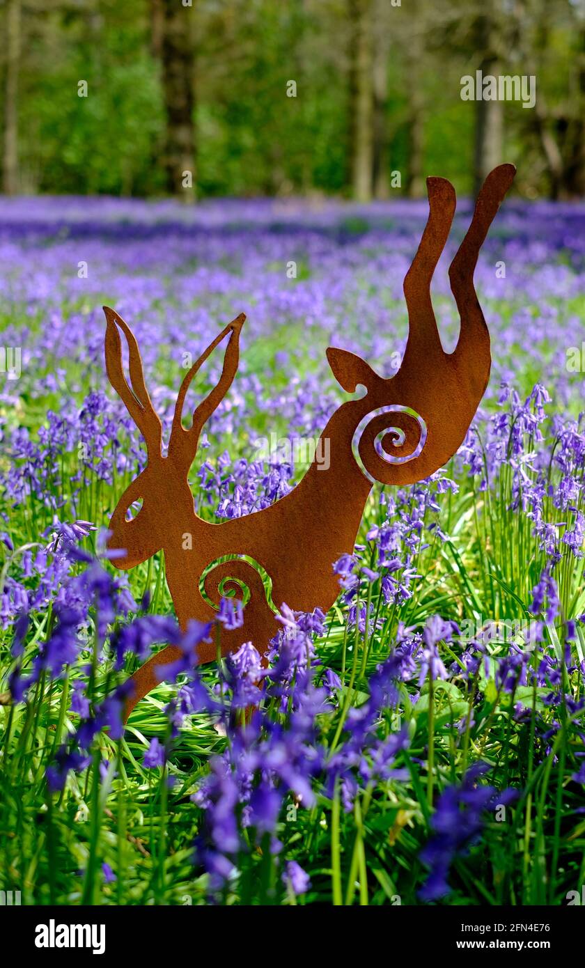 rusted metal leaping hare in bluebell woods, norfolk, england Stock Photo