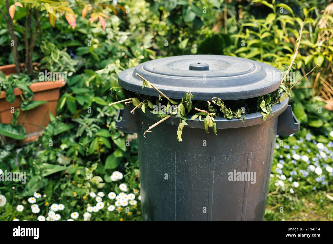 Full greenery bin in a garden. Green lid bin with branches and leaves