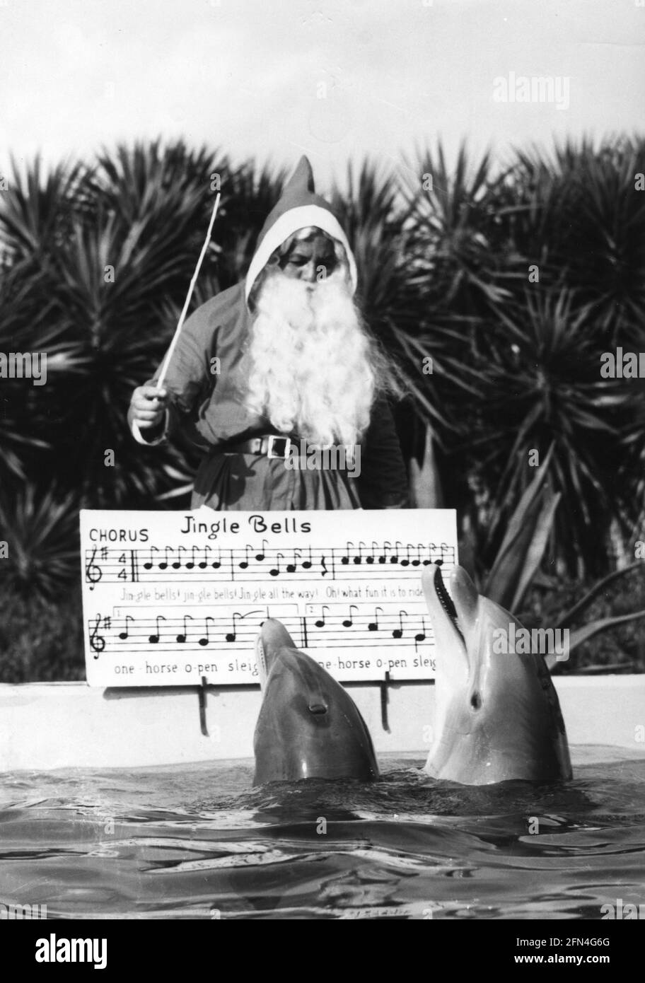 Christmas, Father Christmas is teaching 2 dolphins the famous carol 'Jingle Bells', 1960s, ADDITIONAL-RIGHTS-CLEARANCE-INFO-NOT-AVAILABLE Stock Photo