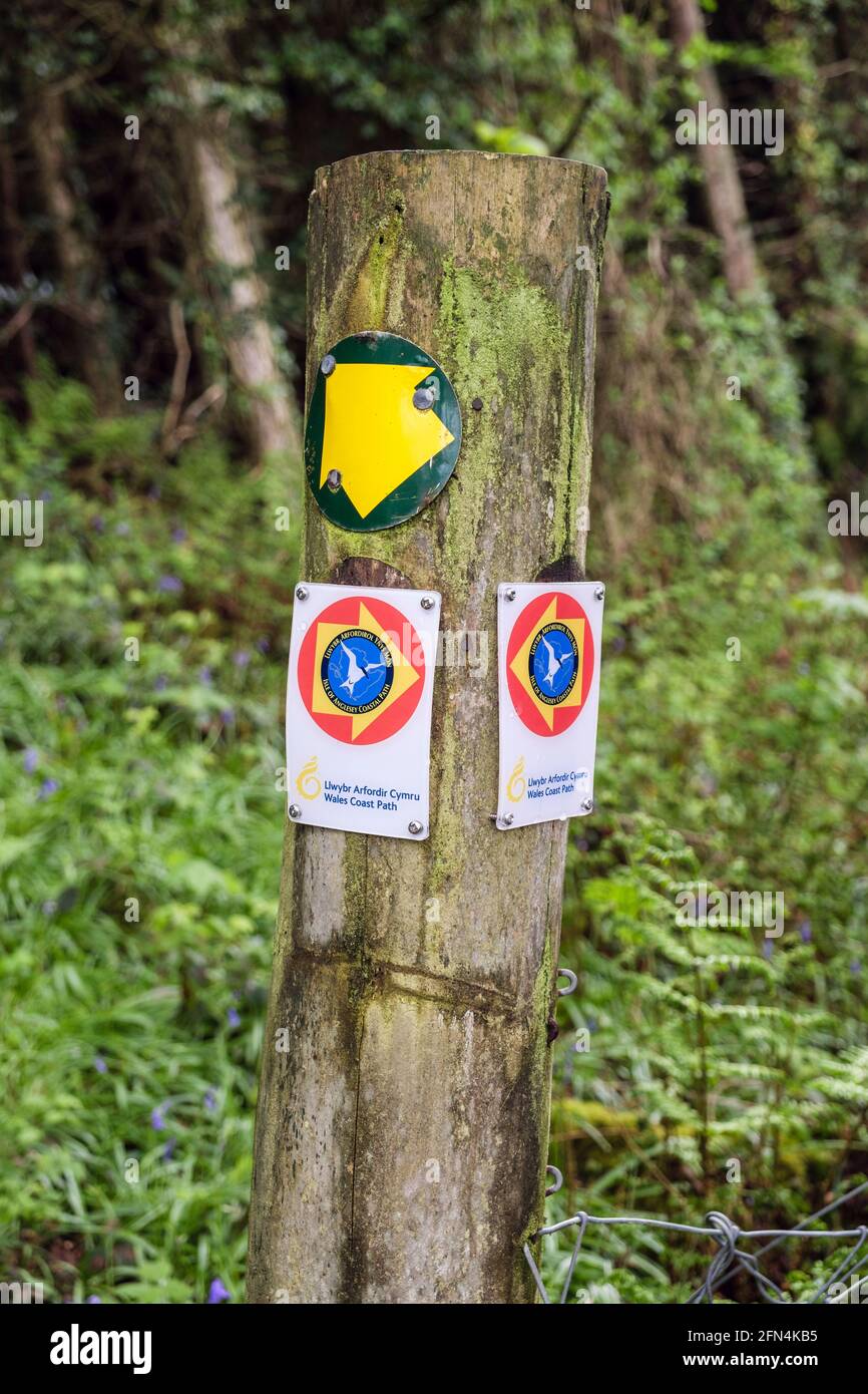 Wales Coast Path signs on mossy post for tidal altenative route on Isle of Anglesey Coastal Path through Pentraeth forest. Anglesey, Wales, UK Stock Photo